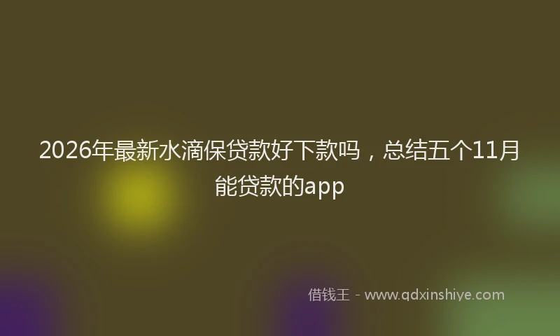 2026年最新水滴保贷款好下款吗，总结五个11月能贷款的app