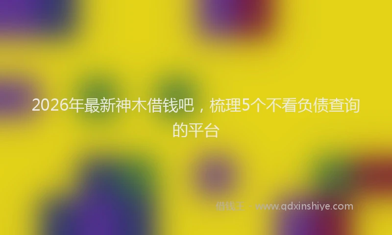2026年最新神木借钱吧，梳理5个不看负债查询的平台