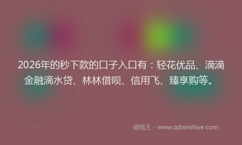 2026年的秒下款的口子入口有：轻花优品、滴滴金融滴水贷、林林借呗、信用飞、臻享购等。