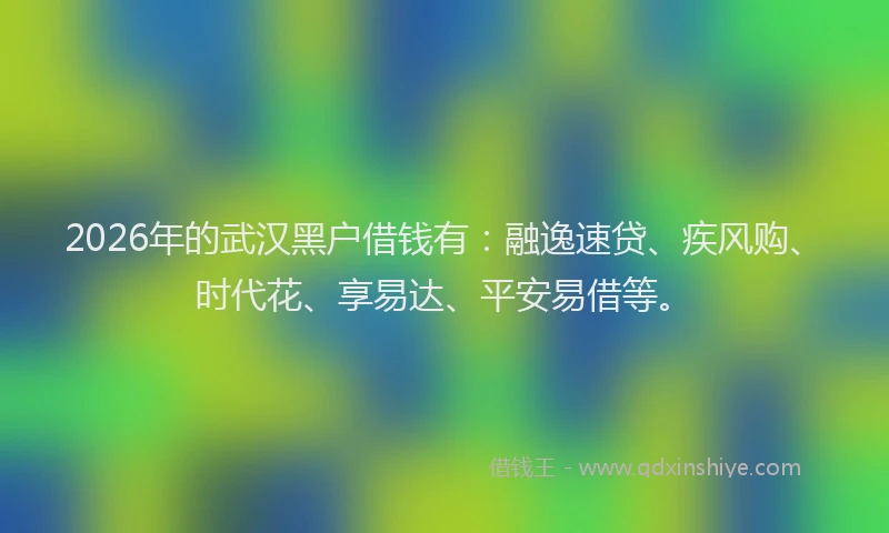 2026年的武汉黑户借钱有：融逸速贷、疾风购、时代花、享易达、平安易借等。