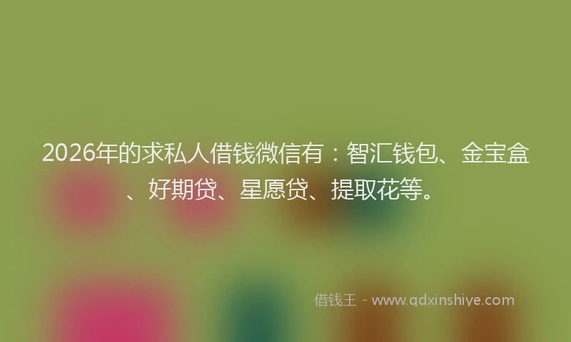 2026年的求私人借钱微信有：智汇钱包、金宝盒、好期贷、星愿贷、提取花等。