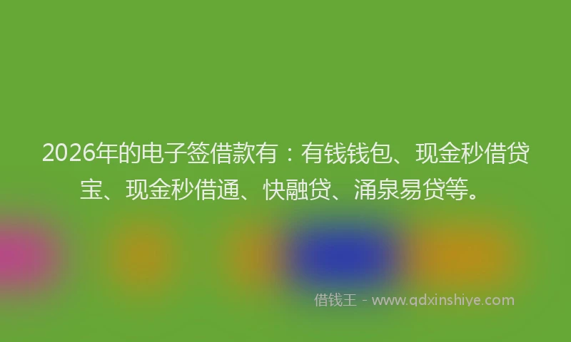 2026年的电子签借款有：有钱钱包、现金秒借贷宝、现金秒借通、快融贷、涌泉易贷等。
