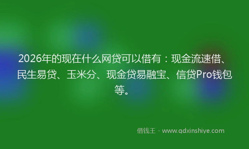 2026年的现在什么网贷可以借有：现金流速借、民生易贷、玉米分、现金贷易融宝、信贷Pro钱包等。