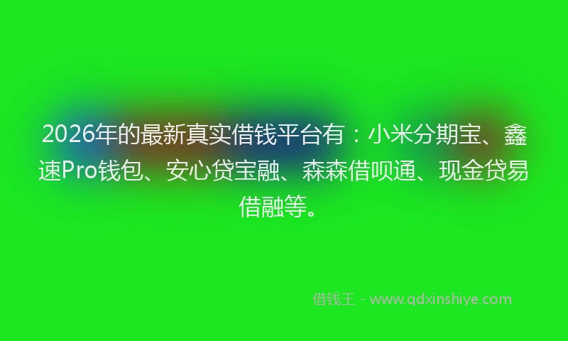 2026年的最新真实借钱平台有：小米分期宝、鑫速Pro钱包、安心贷宝融、森森借呗通、现金贷易借融等。