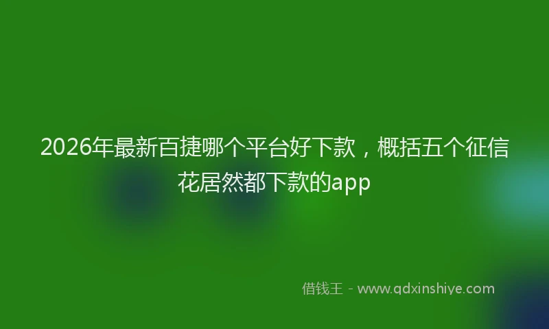 2026年最新百捷哪个平台好下款，概括五个征信花居然都下款的app