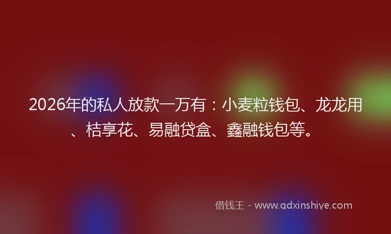 2026年的私人放款一万有：小麦粒钱包、龙龙用、桔享花、易融贷盒、鑫融钱包等。