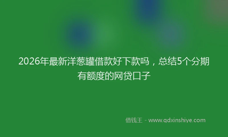 2026年最新洋葱罐借款好下款吗，总结5个分期有额度的网贷口子