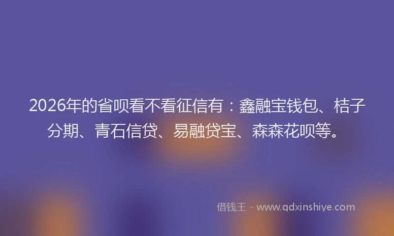 2026年的省呗看不看征信有：鑫融宝钱包、桔子分期、青石信贷、易融贷宝、森森花呗等。