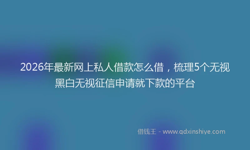 2026年最新网上私人借款怎么借，梳理5个无视黑白无视征信申请就下款的平台