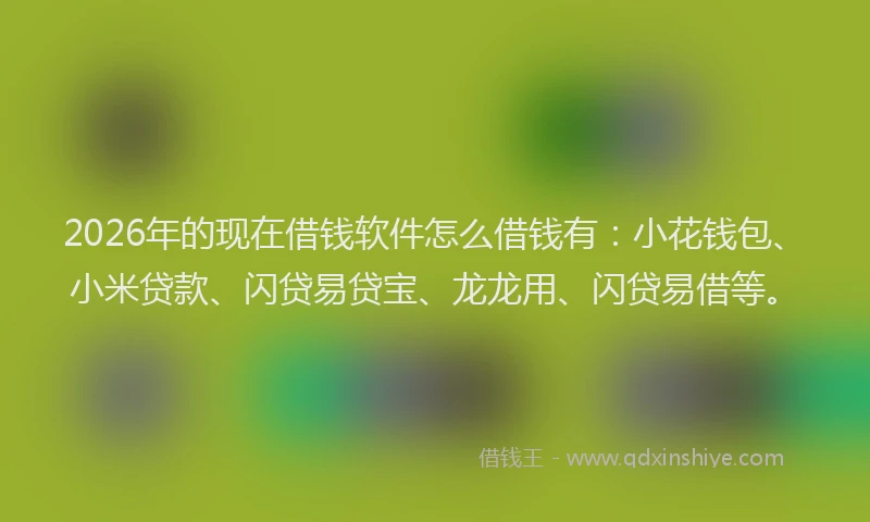 2026年的现在借钱软件怎么借钱有：小花钱包、小米贷款、闪贷易贷宝、龙龙用、闪贷易借等。