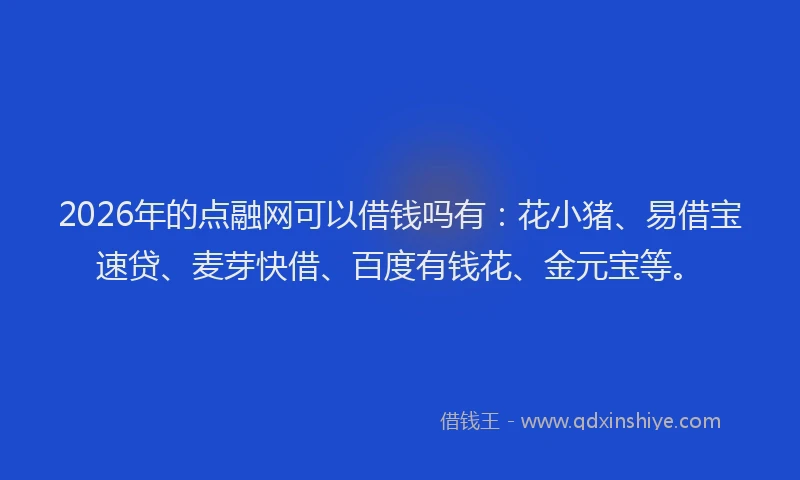 2026年的点融网可以借钱吗有：花小猪、易借宝速贷、麦芽快借、百度有钱花、金元宝等。