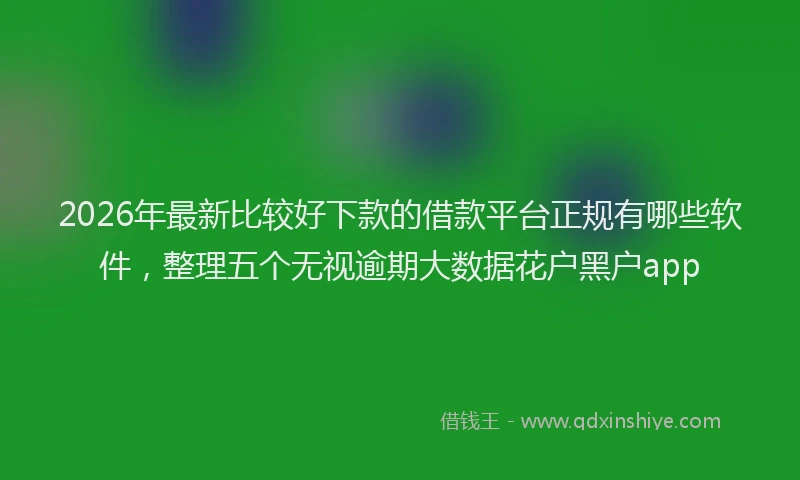 2026年最新比较好下款的借款平台正规有哪些软件，整理五个无视逾期大数据花户黑户app