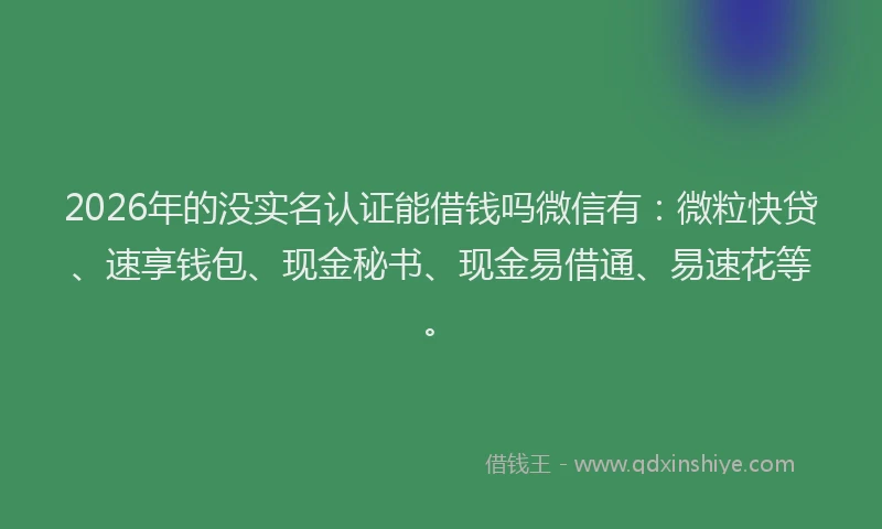2026年的没实名认证能借钱吗微信有：微粒快贷、速享钱包、现金秘书、现金易借通、易速花等。