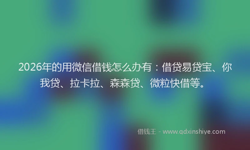 2026年的用微信借钱怎么办有：借贷易贷宝、你我贷、拉卡拉、森森贷、微粒快借等。