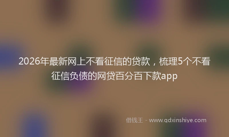 2026年最新网上不看征信的贷款，梳理5个不看征信负债的网贷百分百下款app