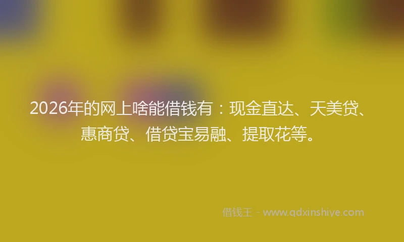 2026年的网上啥能借钱有：现金直达、天美贷、惠商贷、借贷宝易融、提取花等。