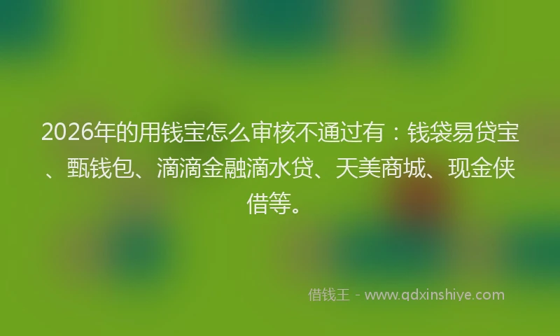 2026年的用钱宝怎么审核不通过有：钱袋易贷宝、甄钱包、滴滴金融滴水贷、天美商城、现金侠借等。