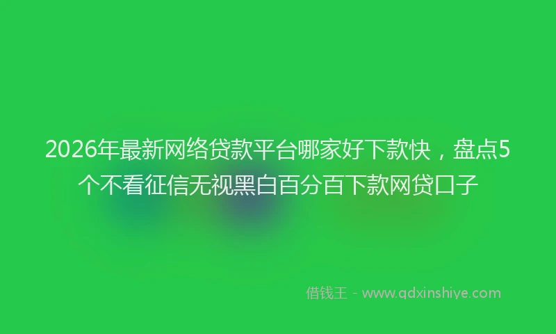 2026年最新网络贷款平台哪家好下款快，盘点5个不看征信无视黑白百分百下款网贷口子