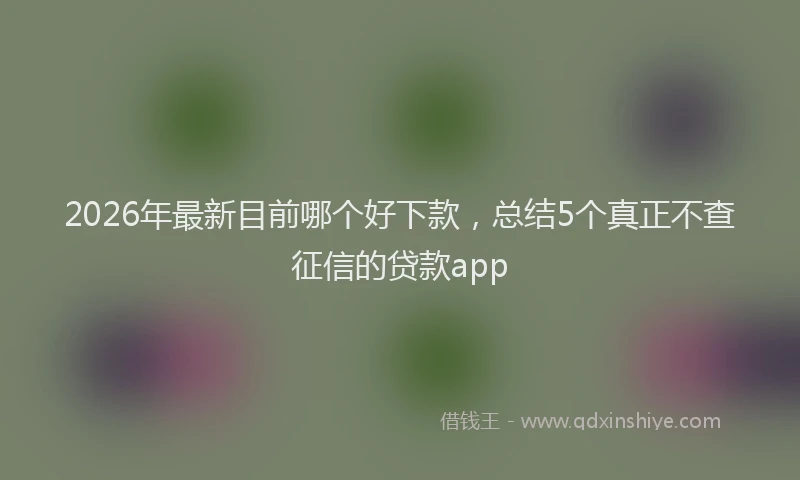 2026年最新目前哪个好下款，总结5个真正不查征信的贷款app