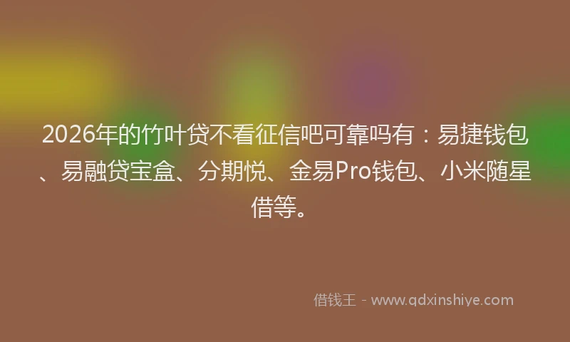 2026年的竹叶贷不看征信吧可靠吗有：易捷钱包、易融贷宝盒、分期悦、金易Pro钱包、小米随星借等。