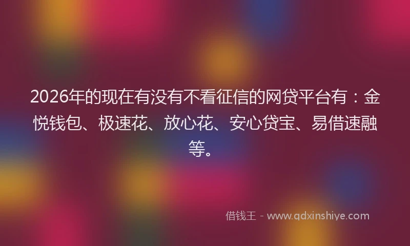 2026年的现在有没有不看征信的网贷平台有：金悦钱包、极速花、放心花、安心贷宝、易借速融等。
