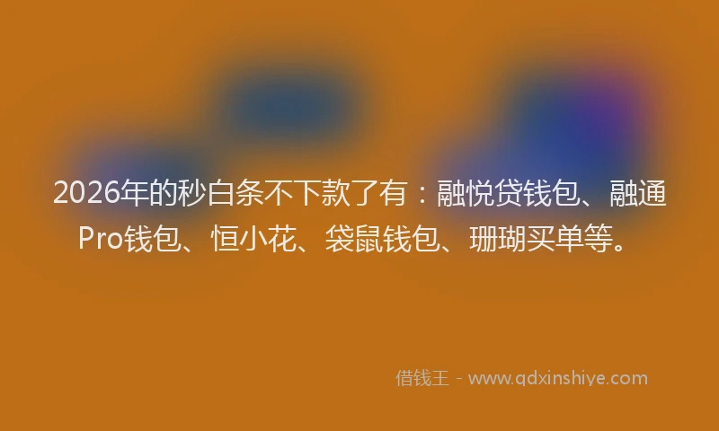 2026年的秒白条不下款了有：融悦贷钱包、融通Pro钱包、恒小花、袋鼠钱包、珊瑚买单等。