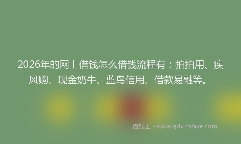 2026年的网上借钱怎么借钱流程有：拍拍用、疾风购、现金奶牛、蓝鸟信用、借款易融等。