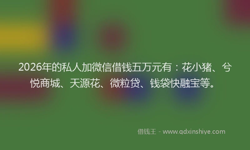 2026年的私人加微信借钱五万元有：花小猪、兮悦商城、天源花、微粒贷、钱袋快融宝等。