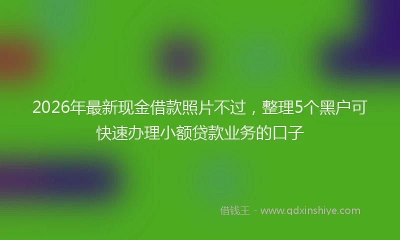 2026年最新现金借款照片不过，整理5个黑户可快速办理小额贷款业务的口子