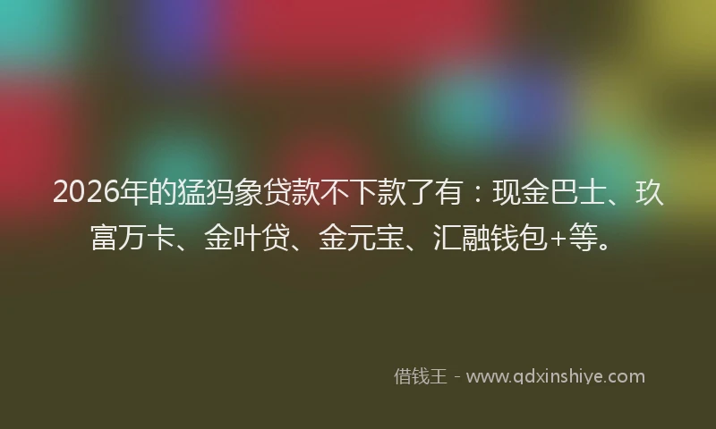 2026年的猛犸象贷款不下款了有：现金巴士、玖富万卡、金叶贷、金元宝、汇融钱包+等。