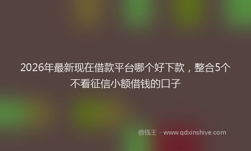 2026年最新现在借款平台哪个好下款，整合5个不看征信小额借钱的口子