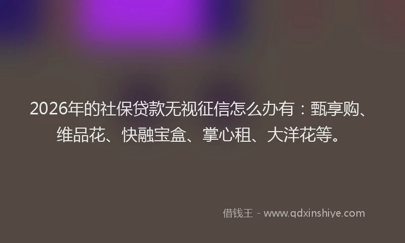 2026年的社保贷款无视征信怎么办有：甄享购、维品花、快融宝盒、掌心租、大洋花等。