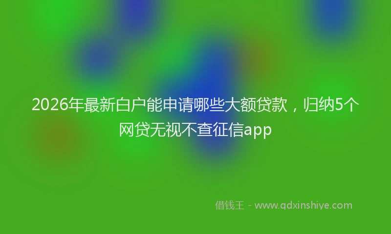 2026年最新白户能申请哪些大额贷款，归纳5个网贷无视不查征信app