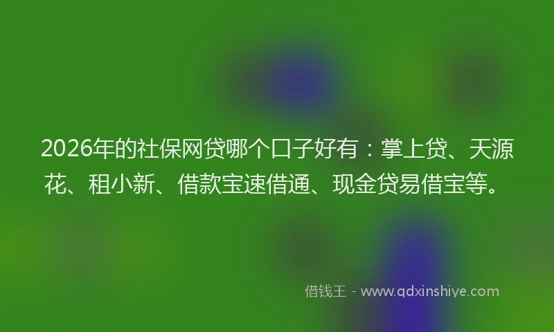 2026年的社保网贷哪个口子好有：掌上贷、天源花、租小新、借款宝速借通、现金贷易借宝等。