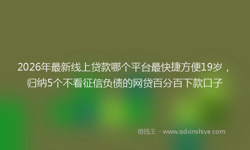 2026年最新线上贷款哪个平台最快捷方便19岁，归纳5个不看征信负债的网贷百分百下款口子