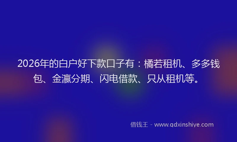 2026年的白户好下款口子有：橘若租机、多多钱包、金瀛分期、闪电借款、只从租机等。