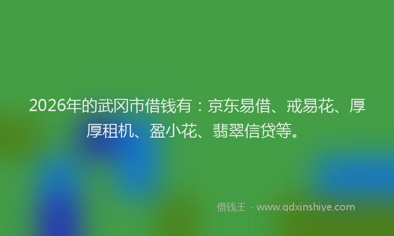 2026年的武冈市借钱有：京东易借、戒易花、厚厚租机、盈小花、翡翠信贷等。