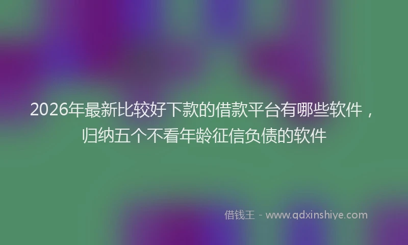 2026年最新比较好下款的借款平台有哪些软件，归纳五个不看年龄征信负债的软件