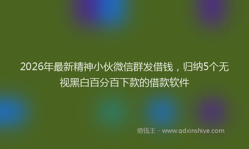 2026年最新精神小伙微信群发借钱，归纳5个无视黑白百分百下款的借款软件