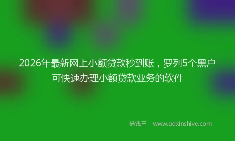 2026年最新网上小额贷款秒到账，罗列5个黑户可快速办理小额贷款业务的软件