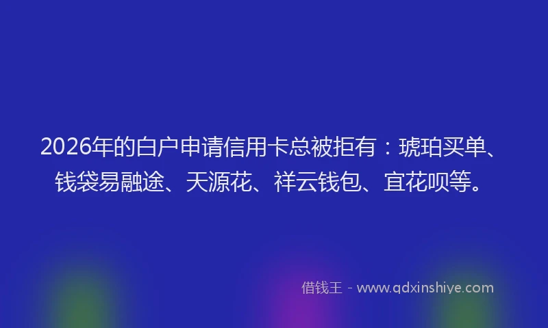 2026年的白户申请信用卡总被拒有：琥珀买单、钱袋易融途、天源花、祥云钱包、宜花呗等。