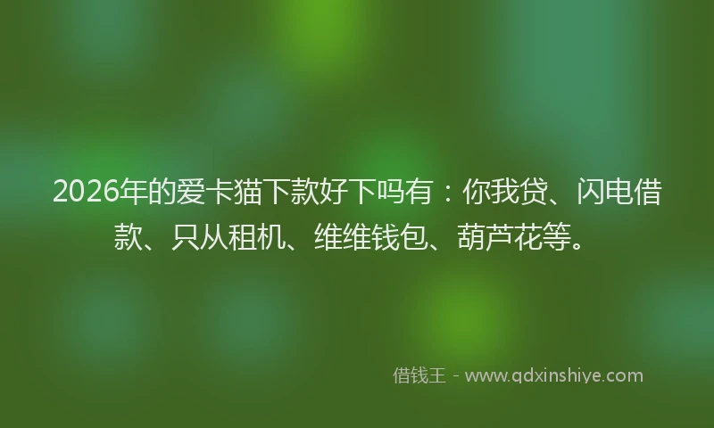2026年的爱卡猫下款好下吗有：你我贷、闪电借款、只从租机、维维钱包、葫芦花等。
