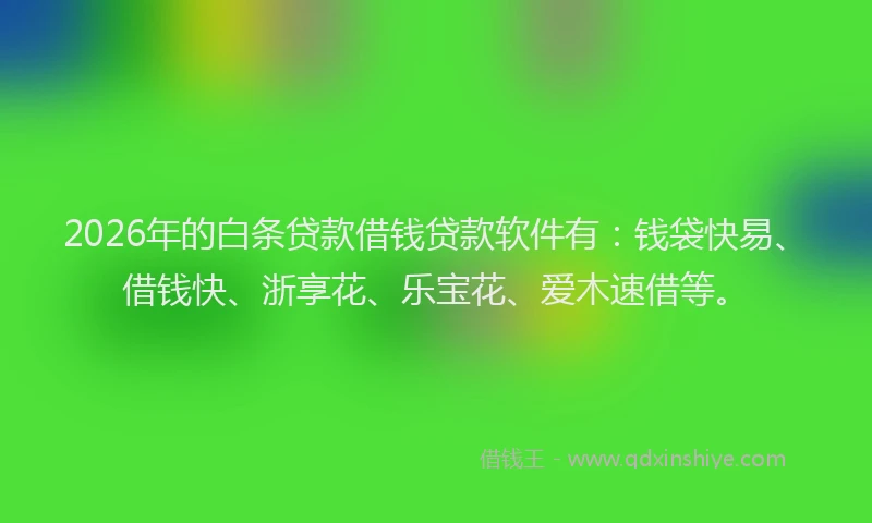 2026年的白条贷款借钱贷款软件有：钱袋快易、借钱快、浙享花、乐宝花、爱木速借等。