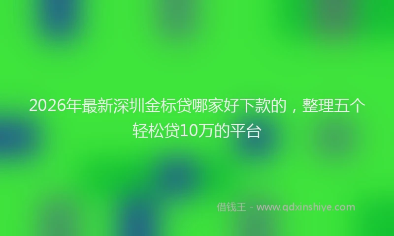 2026年最新深圳金标贷哪家好下款的，整理五个轻松贷10万的平台