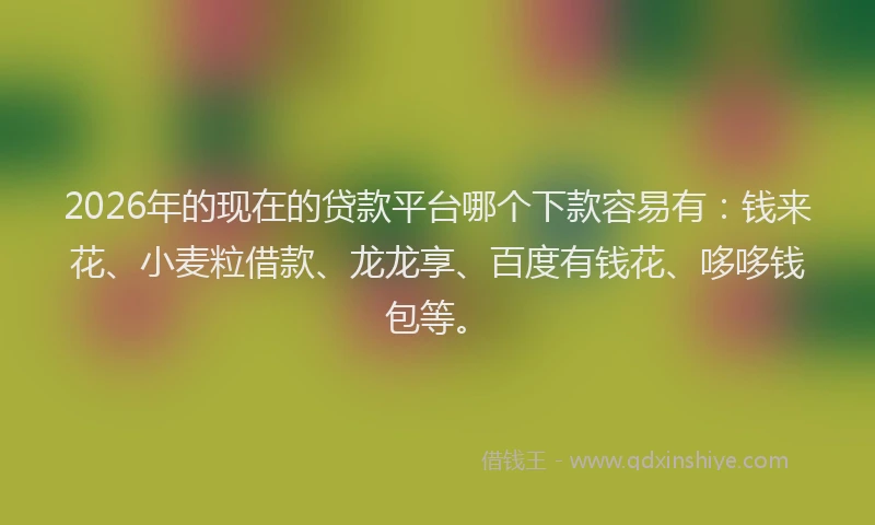 2026年的现在的贷款平台哪个下款容易有：钱来花、小麦粒借款、龙龙享、百度有钱花、哆哆钱包等。