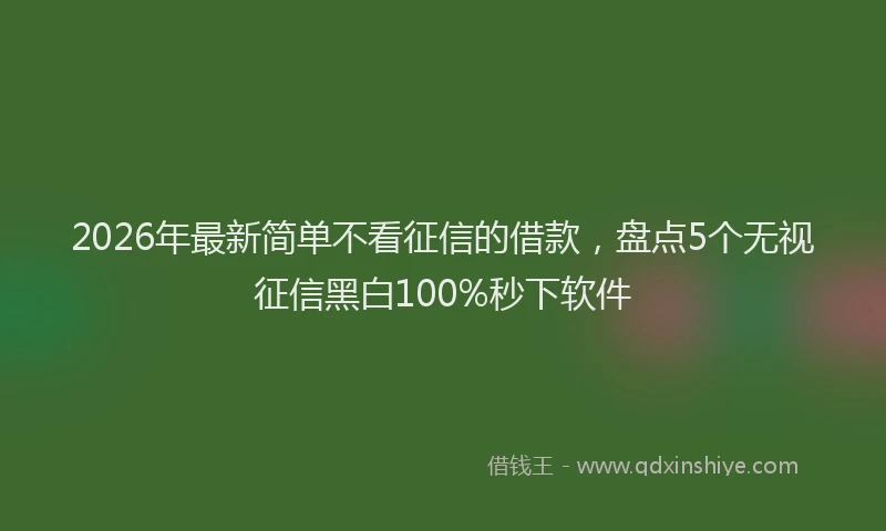 2026年最新简单不看征信的借款，盘点5个无视征信黑白100%秒下软件