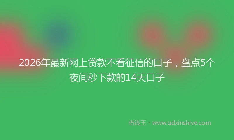 2026年最新网上贷款不看征信的口子，盘点5个夜间秒下款的14天口子