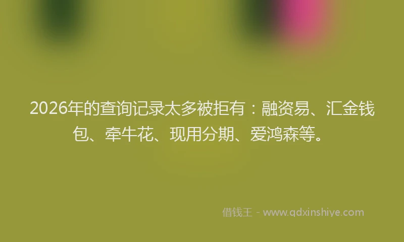 2026年的查询记录太多被拒有：融资易、汇金钱包、牵牛花、现用分期、爱鸿森等。