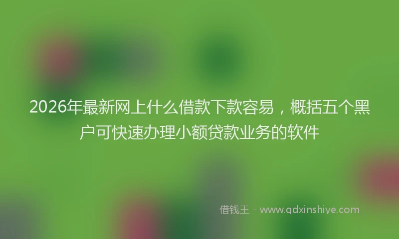 2026年最新网上什么借款下款容易，概括五个黑户可快速办理小额贷款业务的软件