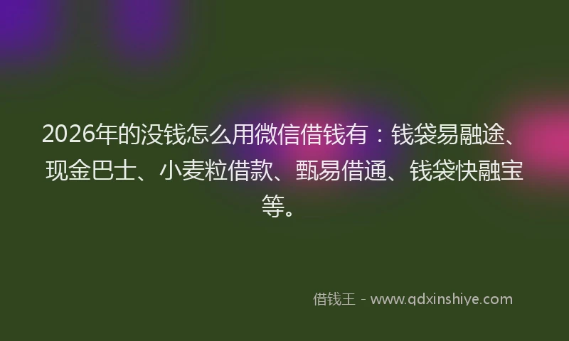 2026年的没钱怎么用微信借钱有：钱袋易融途、现金巴士、小麦粒借款、甄易借通、钱袋快融宝等。